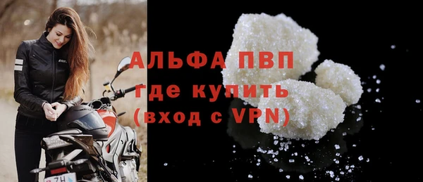 гашик Богданович