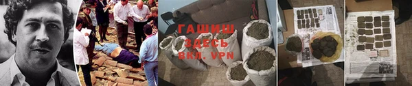 гашик Богданович