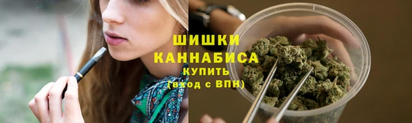 гашик Богданович