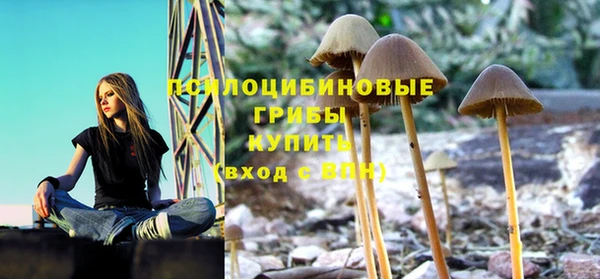 гашик Богданович