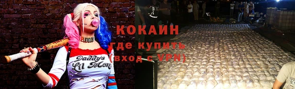 гашик Богданович