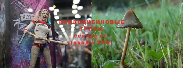 винт Богородицк