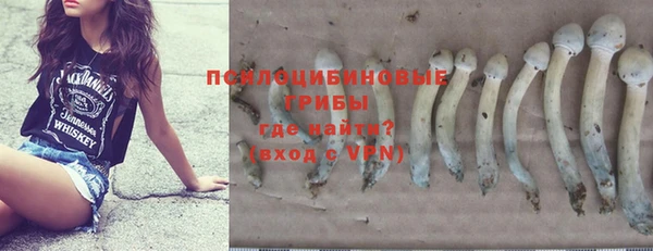 винт Богородицк